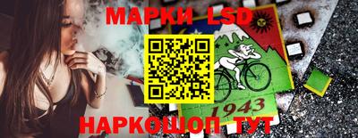 гашик Нарткала