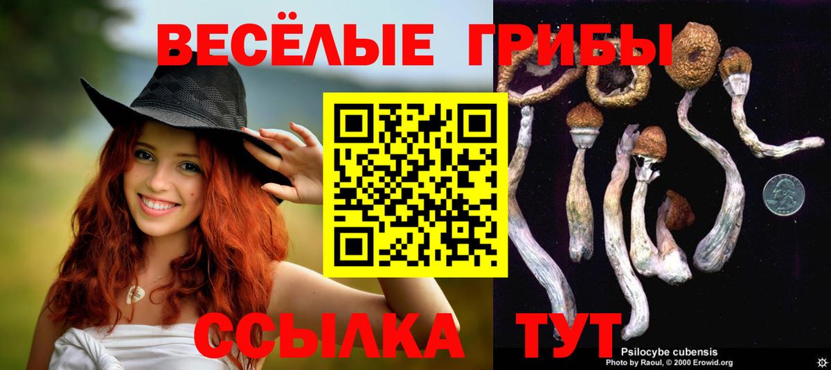 Псилоцибиновые грибы Magic Shrooms  Вход с VPN  Уварово 